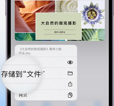 宜春apple维修中心分享iPhone文件应用中存储和找到下载文件