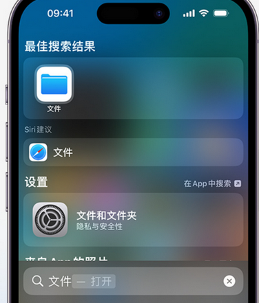 宜春apple维修中心分享iPhone文件应用中存储和找到下载文件