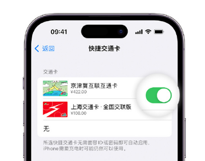 宜春apple维修点分享iPhone上更换Apple Pay快捷交通卡手绘卡面 