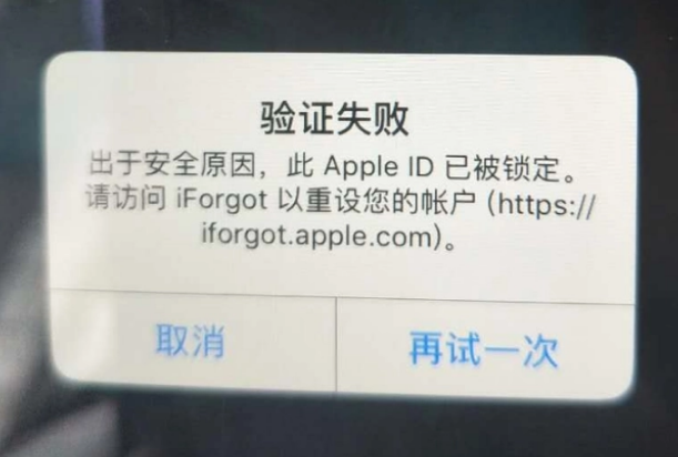 宜春iPhone维修分享iPhone上正常登录或使用AppleID怎么办 