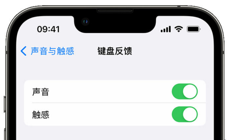 宜春苹果手机维修分享iPhone 14触感键盘使用方法 