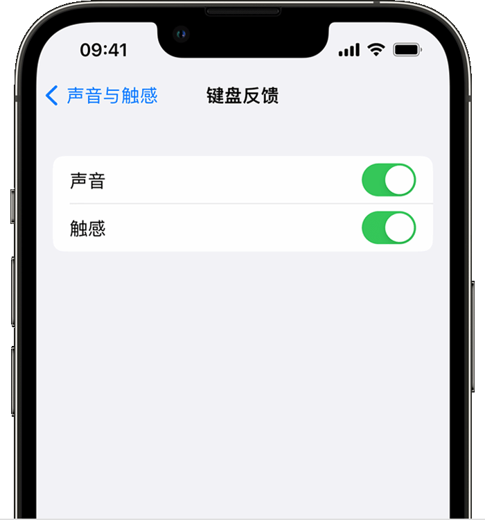 宜春苹果14维修店分享如何在 iPhone 14 机型中使用触感键盘 