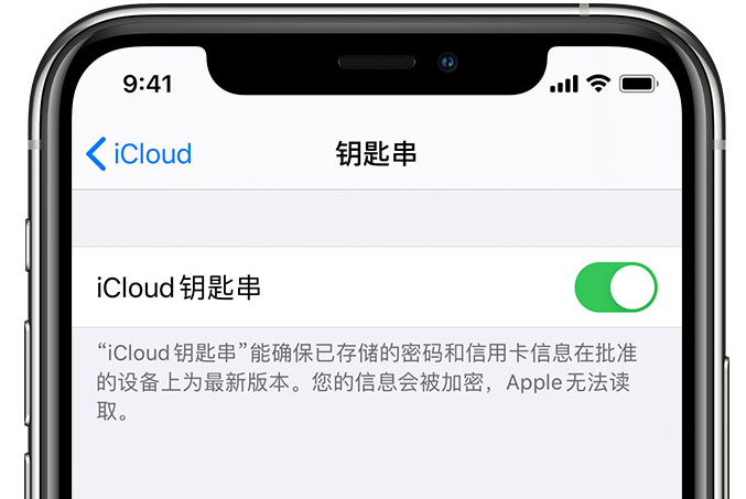 宜春苹果手机维修分享在 iPhone 上开启 iCloud 钥匙串之后会储存哪些信息 