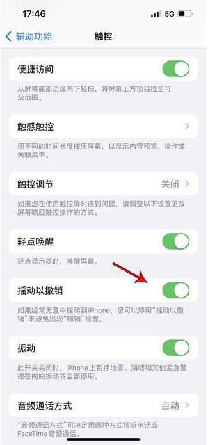 宜春苹果手机维修分享iPhone手机如何设置摇一摇删除文字 