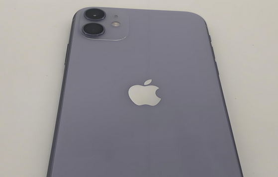 宜春苹果11系统维修分享iPhone11手机系统崩溃无法开机如何解决